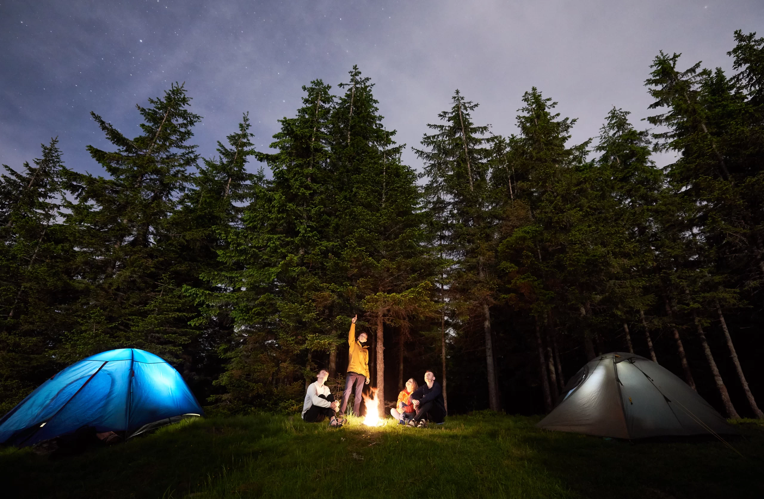 Plazi Homecenter | Compra Con Confianza, Calidad Garantizada Plazi Plazi Homecenter | Compra Con Confianza, Calidad Garantizada Plazi Plazi, Plazi Homecenter, Aventura, Camping, Homecenter Peru, Plazi Lima, Tienda Online Perú, Cooler Para Camping En Perú, Accesorios Para Camping Online, Muebles Para Jardín Perú